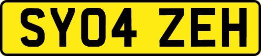 SY04ZEH