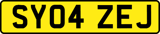 SY04ZEJ