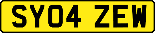 SY04ZEW