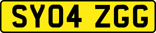 SY04ZGG