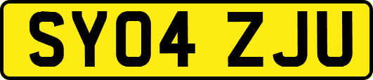 SY04ZJU