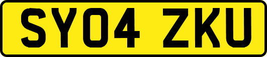 SY04ZKU