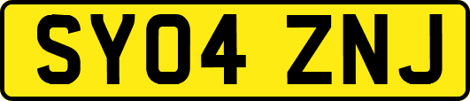 SY04ZNJ