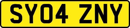 SY04ZNY