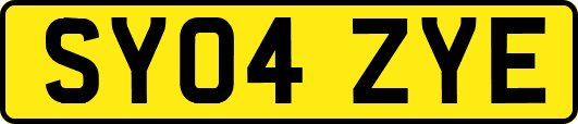 SY04ZYE
