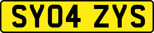 SY04ZYS