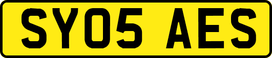 SY05AES