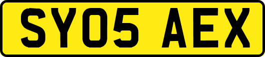 SY05AEX