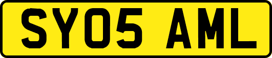 SY05AML