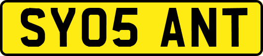 SY05ANT