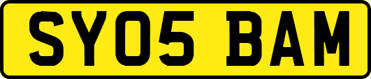 SY05BAM