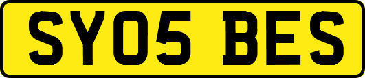 SY05BES
