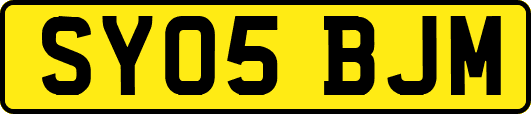 SY05BJM