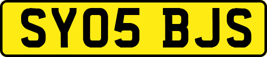 SY05BJS