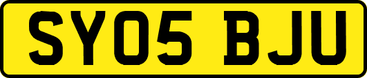 SY05BJU