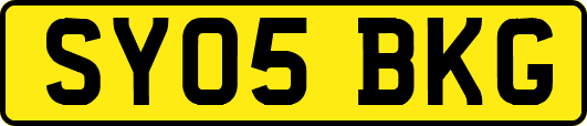 SY05BKG