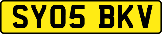 SY05BKV