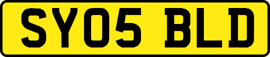 SY05BLD