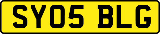 SY05BLG