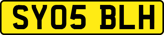 SY05BLH