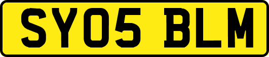 SY05BLM