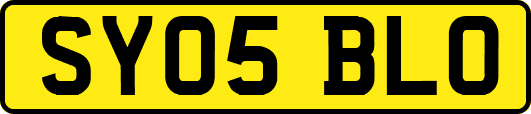 SY05BLO