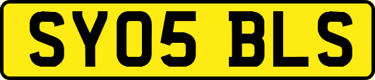 SY05BLS