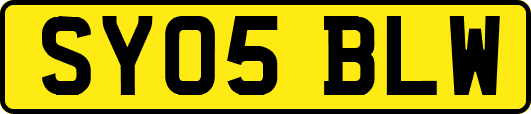 SY05BLW