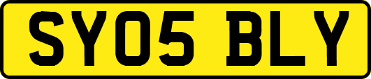 SY05BLY