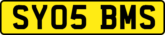 SY05BMS