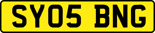 SY05BNG