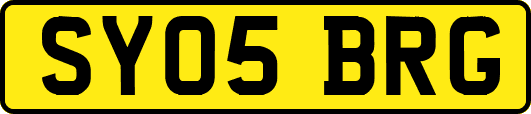 SY05BRG