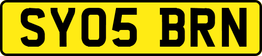 SY05BRN
