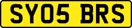 SY05BRS