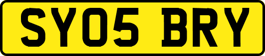 SY05BRY