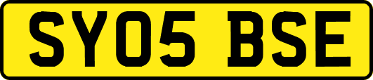 SY05BSE