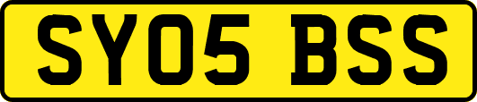 SY05BSS