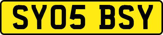 SY05BSY