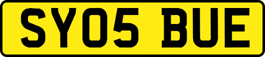 SY05BUE
