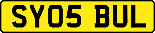 SY05BUL