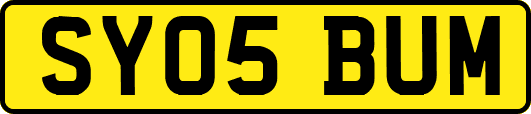 SY05BUM
