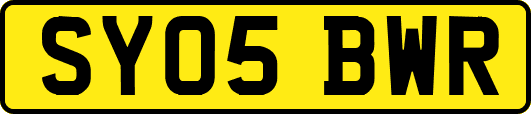 SY05BWR