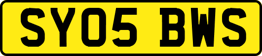 SY05BWS