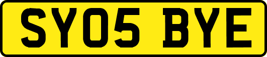 SY05BYE
