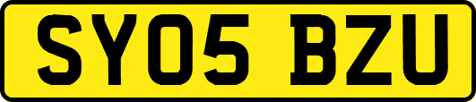 SY05BZU
