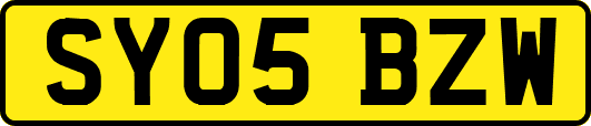 SY05BZW