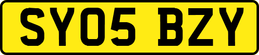SY05BZY