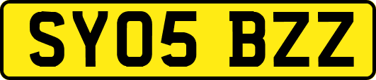 SY05BZZ