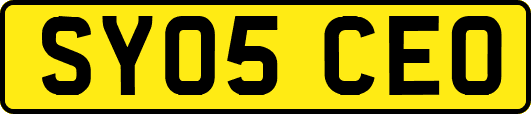 SY05CEO