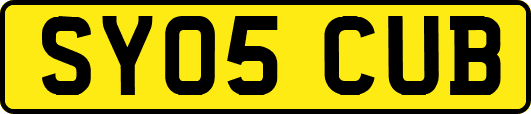 SY05CUB